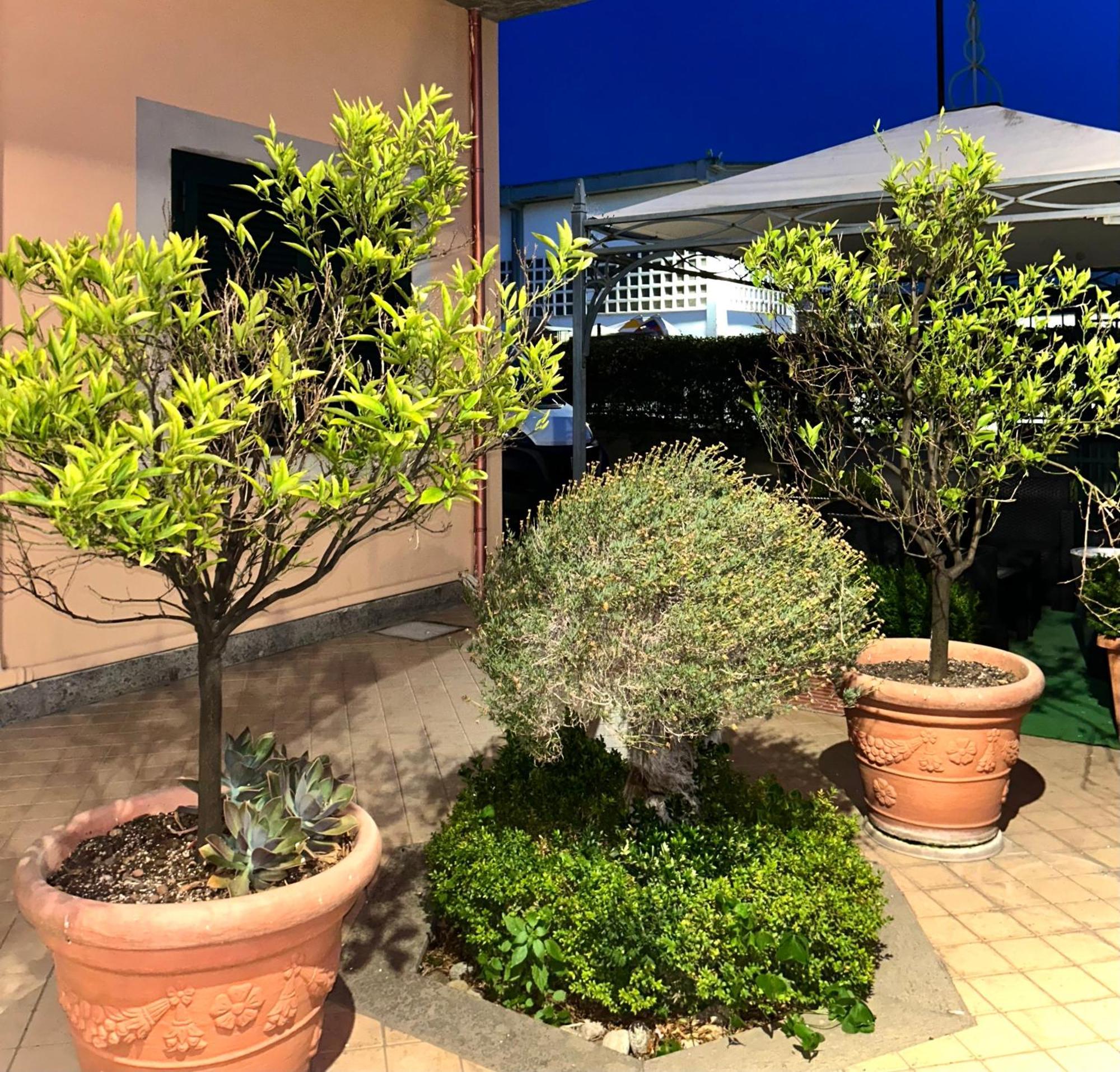 Hotel Dei Tartari Guidonia